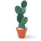Cactus Coaster - HypePortrait
