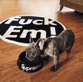 Found a Fuck Em! Rug at my local shoe shop : r/supremeclothing